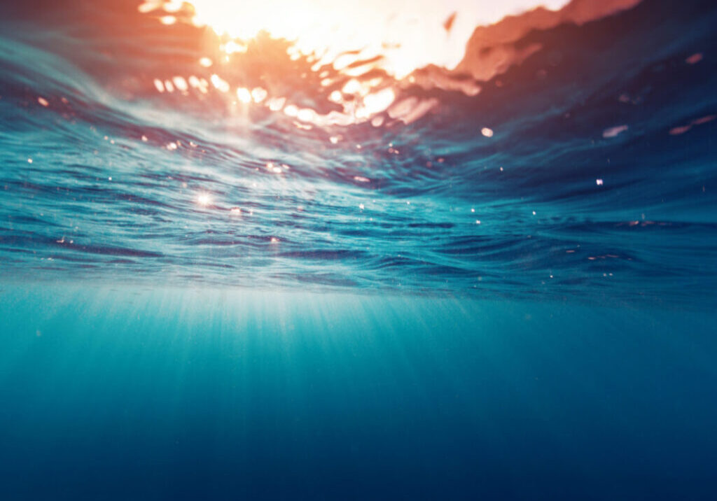 Underwater view of the sea surface