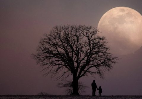 Gazing at the moon