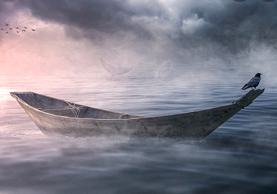 @unsplash