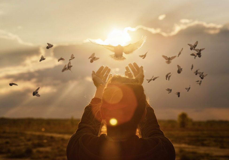 Doves fly into the woman hands against the background of a sunny sunset during prayer.