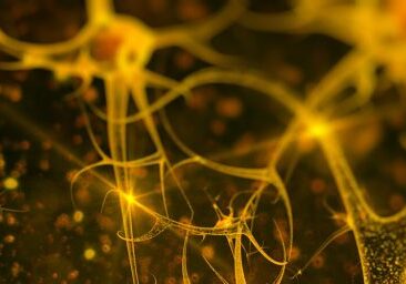 page-header-5