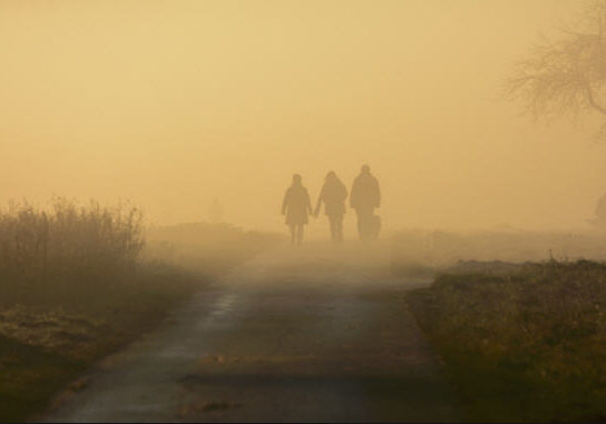 people walking in fog