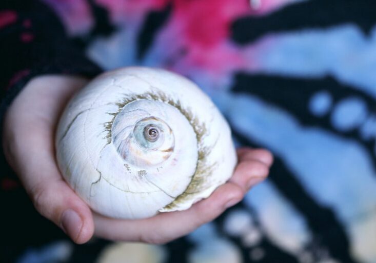 sharon-mccutcheon-s6tma-6aUUs-unsplash