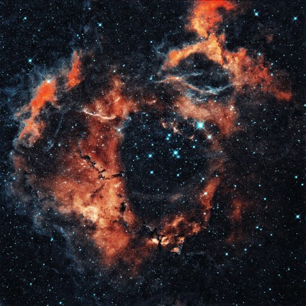 tengyart-pYlSLXkduQg-unsplash