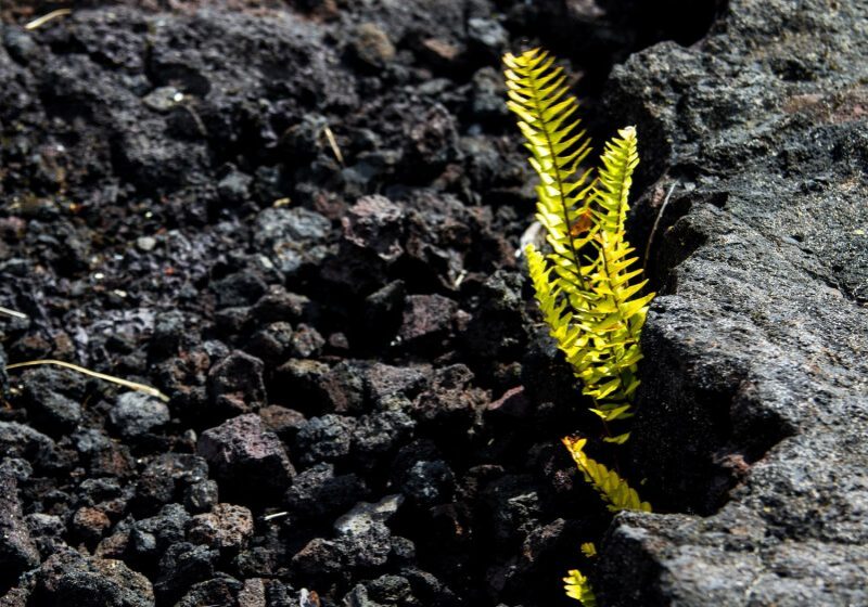 timon-studler-Ko1E3oC3Fk4-unsplash